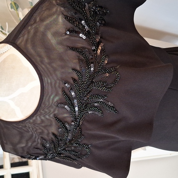 Sequin embroidered Cape sleeve dress.[8]BNWT - Picture 5 of 17